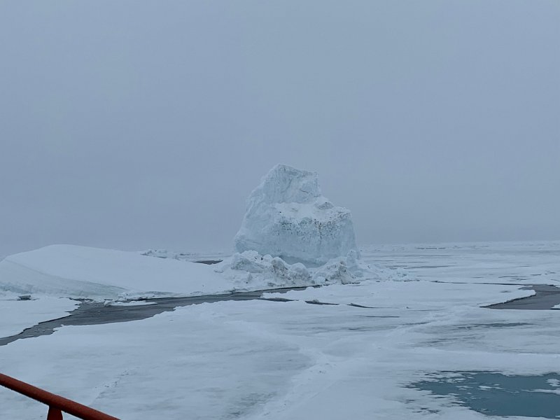 20190711_019_IPX Ice bear